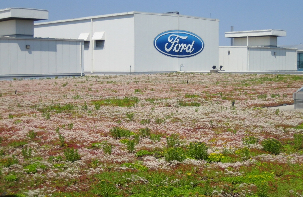 Xero Flor Green Roof on Ford's Dearborn Truck Plant