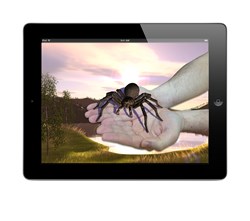Augmented reality tarantula