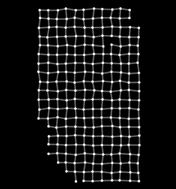 Optical Illusion T-Shirt "Hermann Grid Illusion Tee"