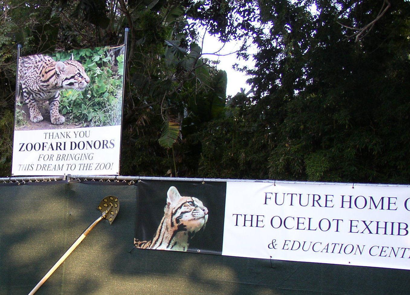 Future home for the Ocelot Exhibit. The Santa Ana Zoo has been chosen as one of the select zoos in North America to receive an Ocelot. Photo by Lynn O'Connell