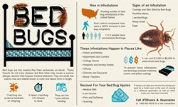 Injury Lawyer Releases New Informational Graphic About Bed Bug ...