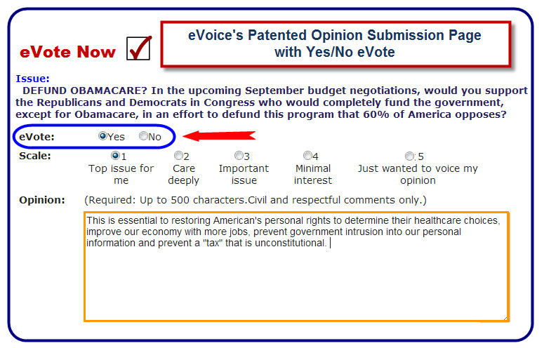 User Opinion Submission Form and Yes / No eVote Template