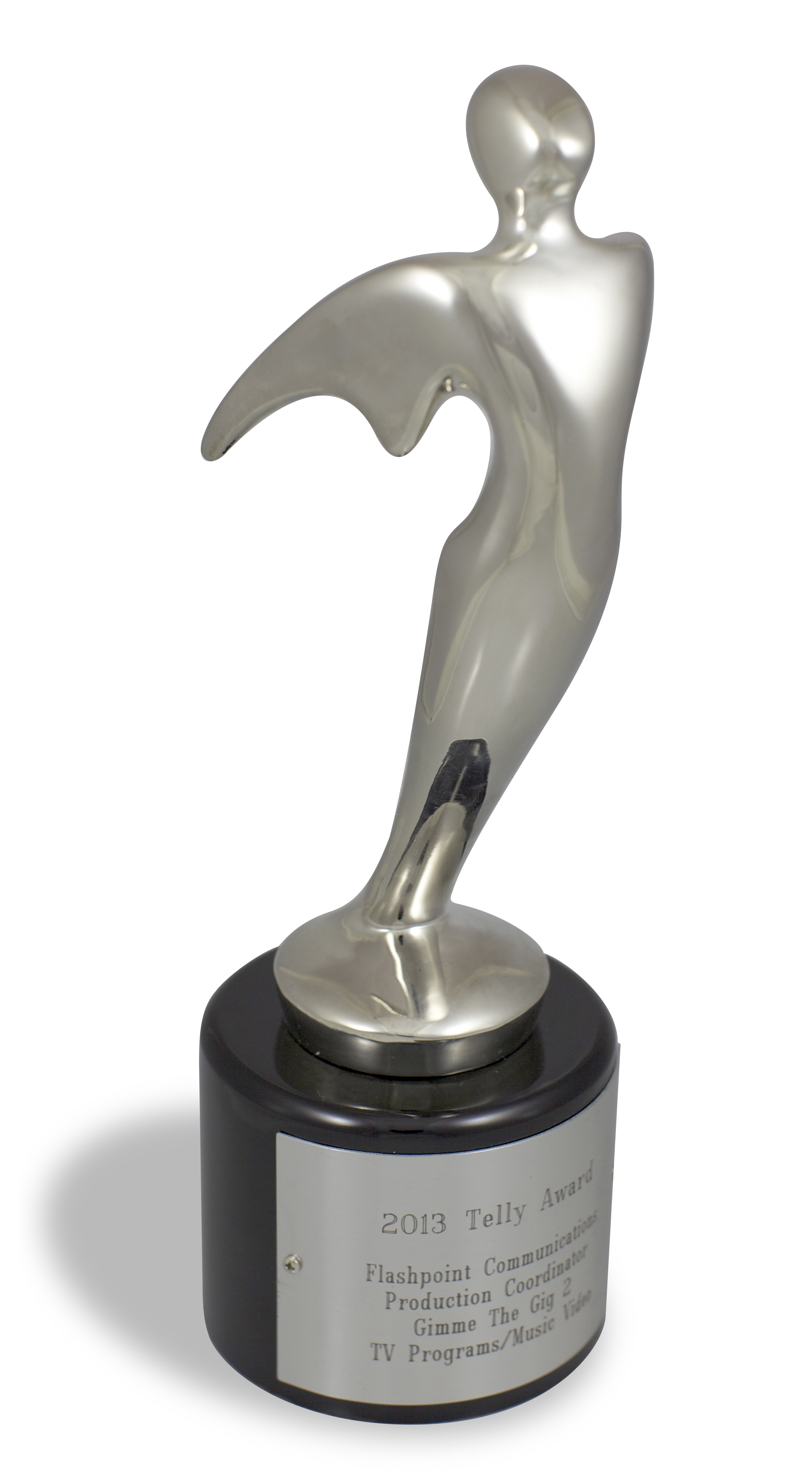 2013 Telly Award Flash Point Communications