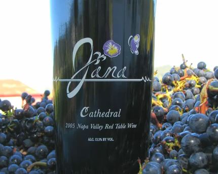 2005 Jana Cathedral among the Cabernet Sauvignon Grapes