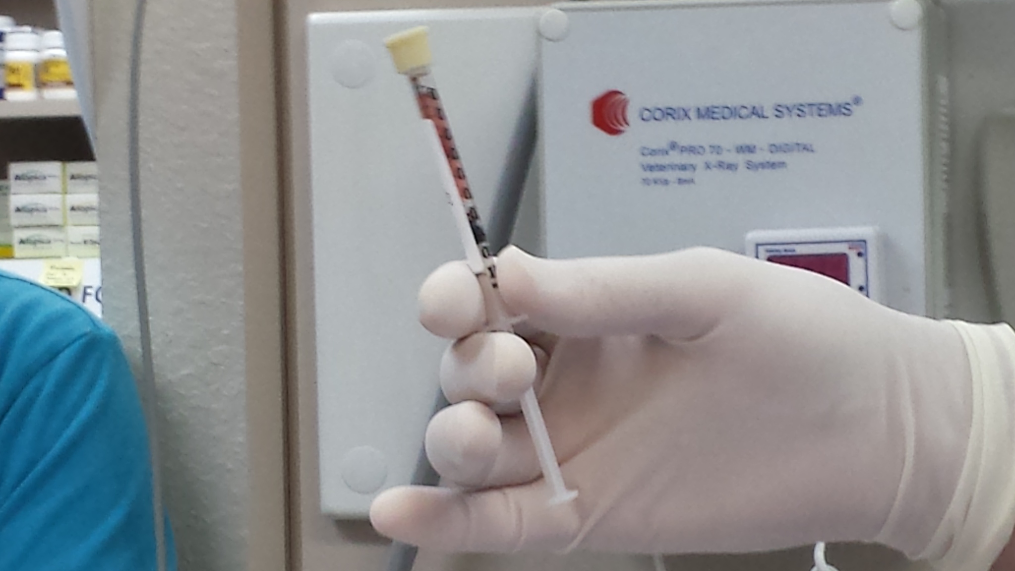 Stem cells in an injectable dose.