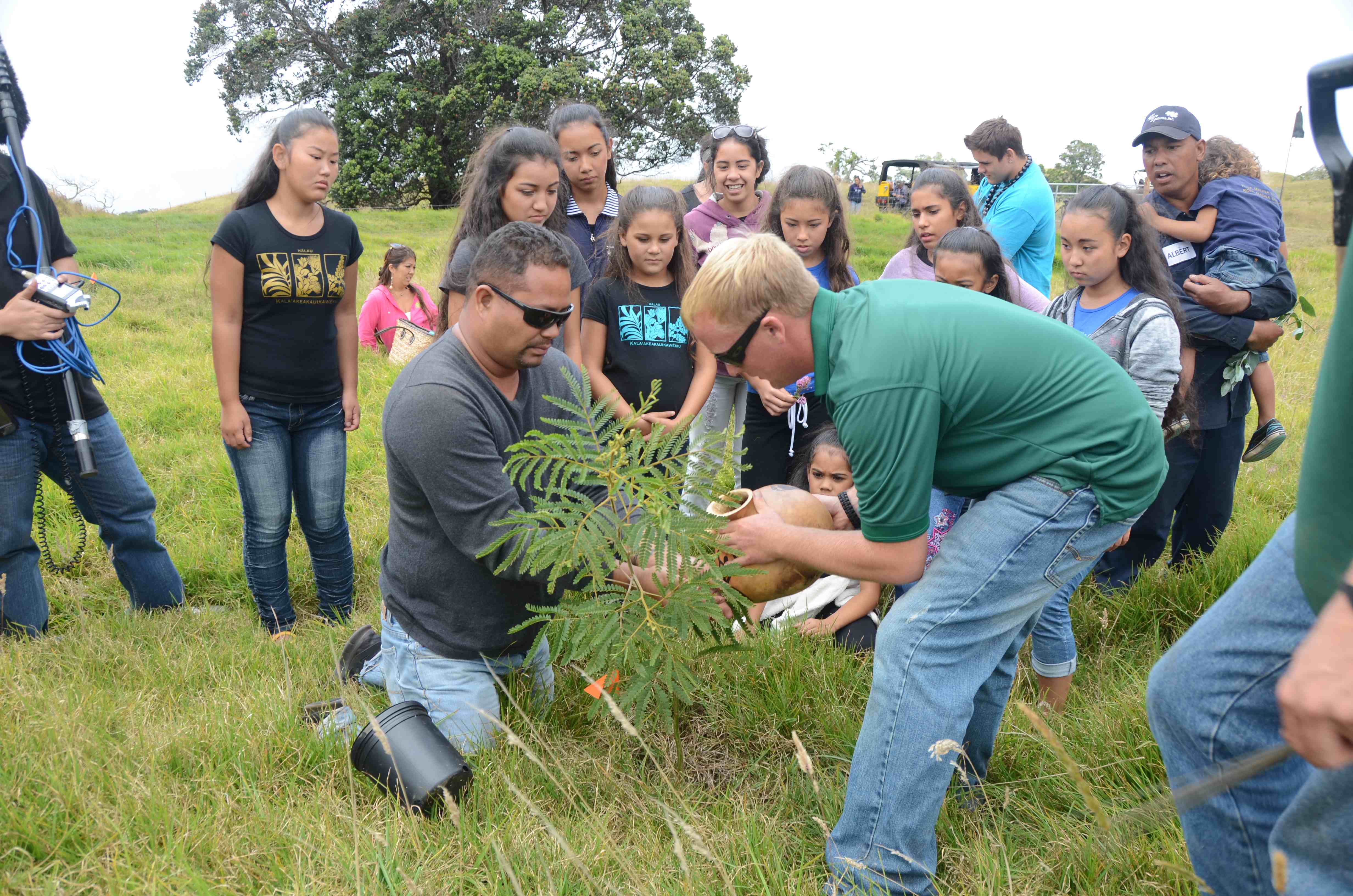 Group Planting a Tree