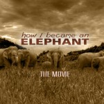 How I Became an Elephant Movie