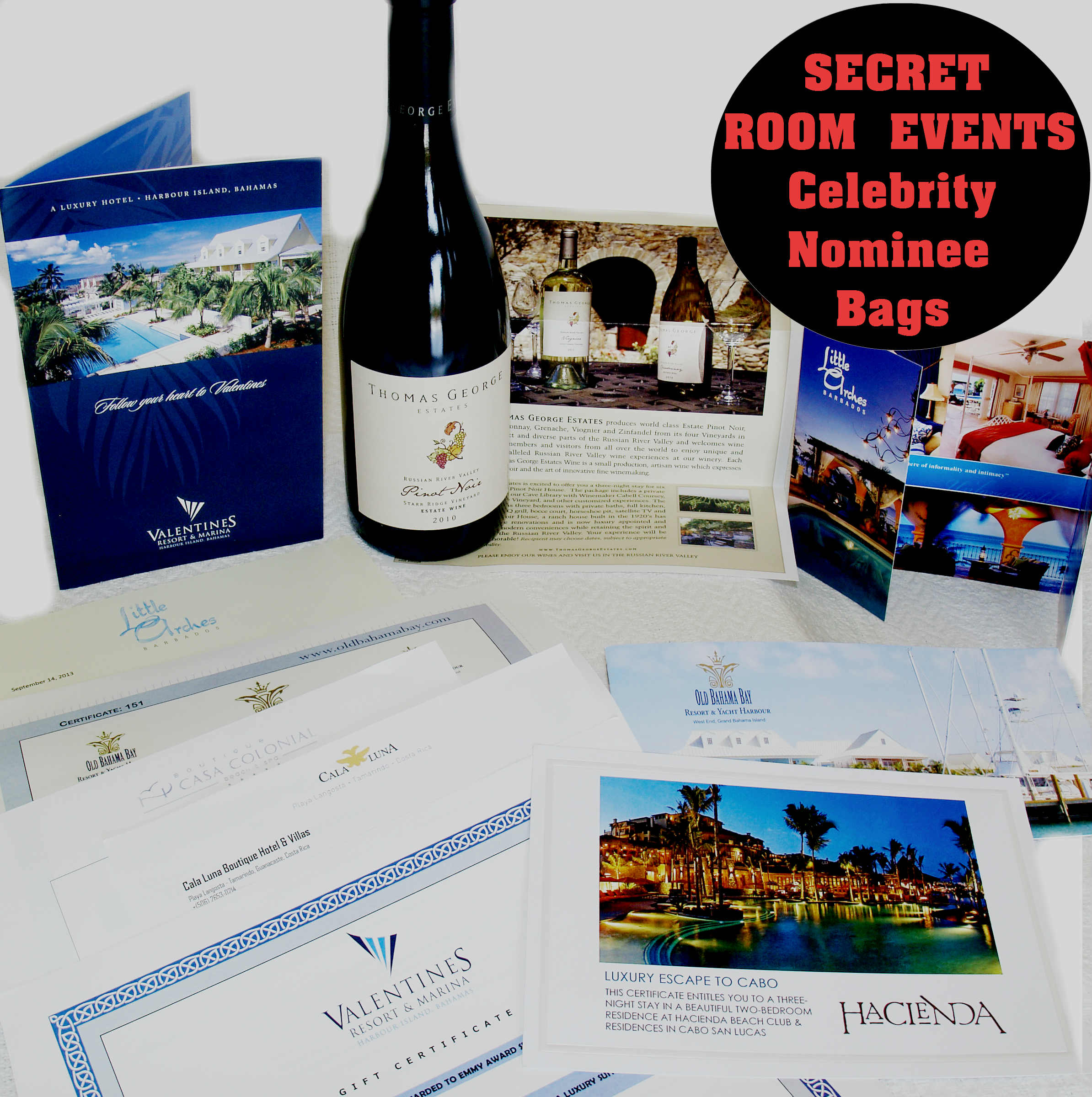 Secret Room Events Red Carpet Style Lounge Travel VIP Nominee Gifts