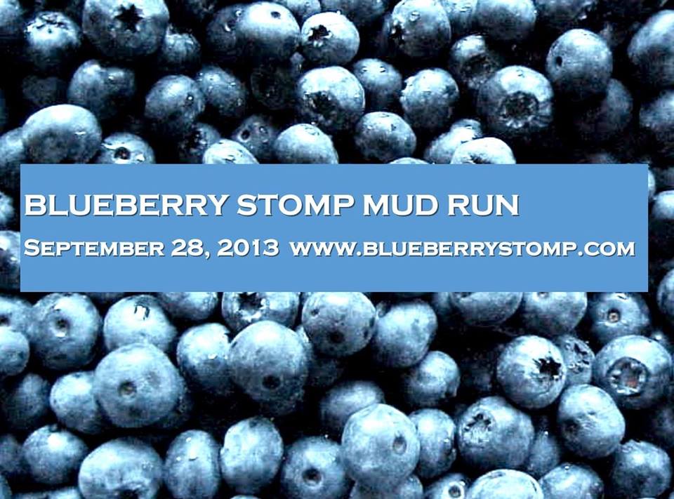 Blueberry Stomp
