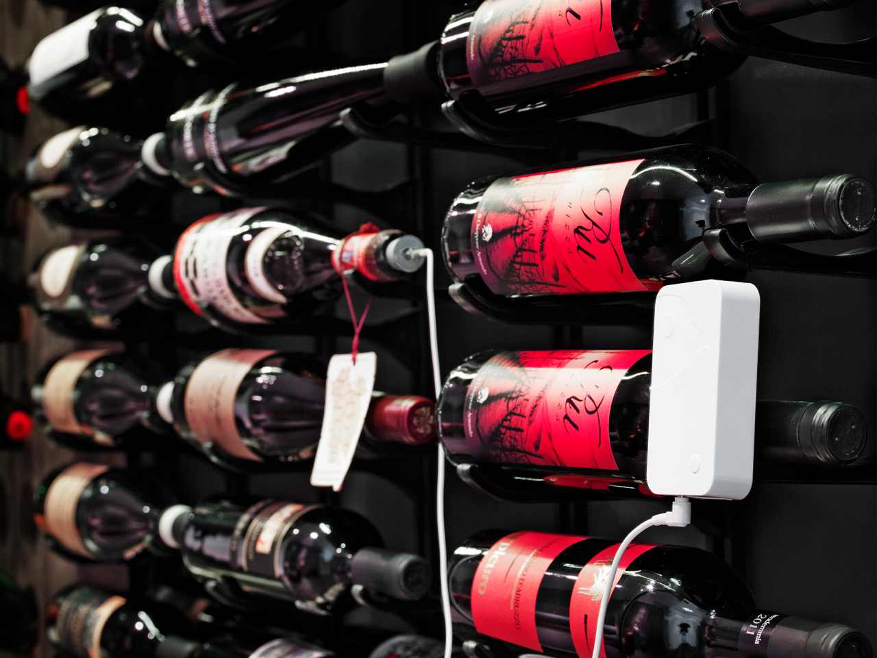 Sensorist wine probe