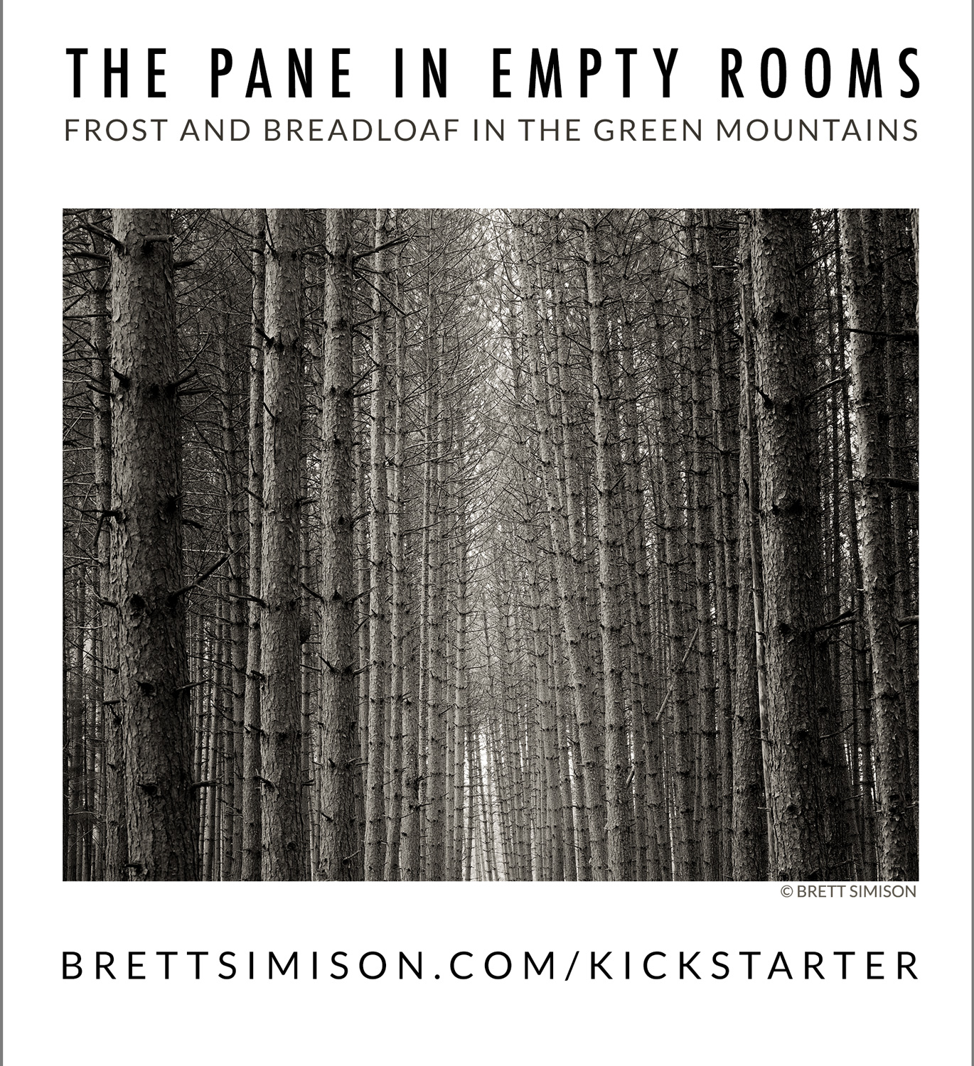 Pane in Empty Rooms Kickstarter Project Card
