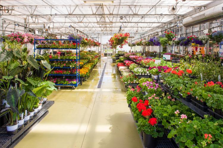 Eagle Crest Nursery specializes in colorful annuals and perennials, plus large landscape trees and shrubs, and even offers gardening tools and accessories.