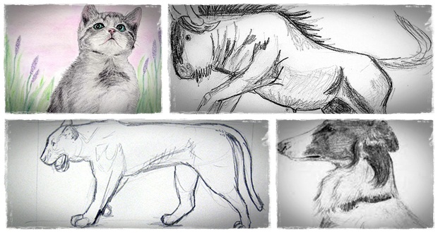 How To Sketch Animals Drawing Animals In Pencil Helps People