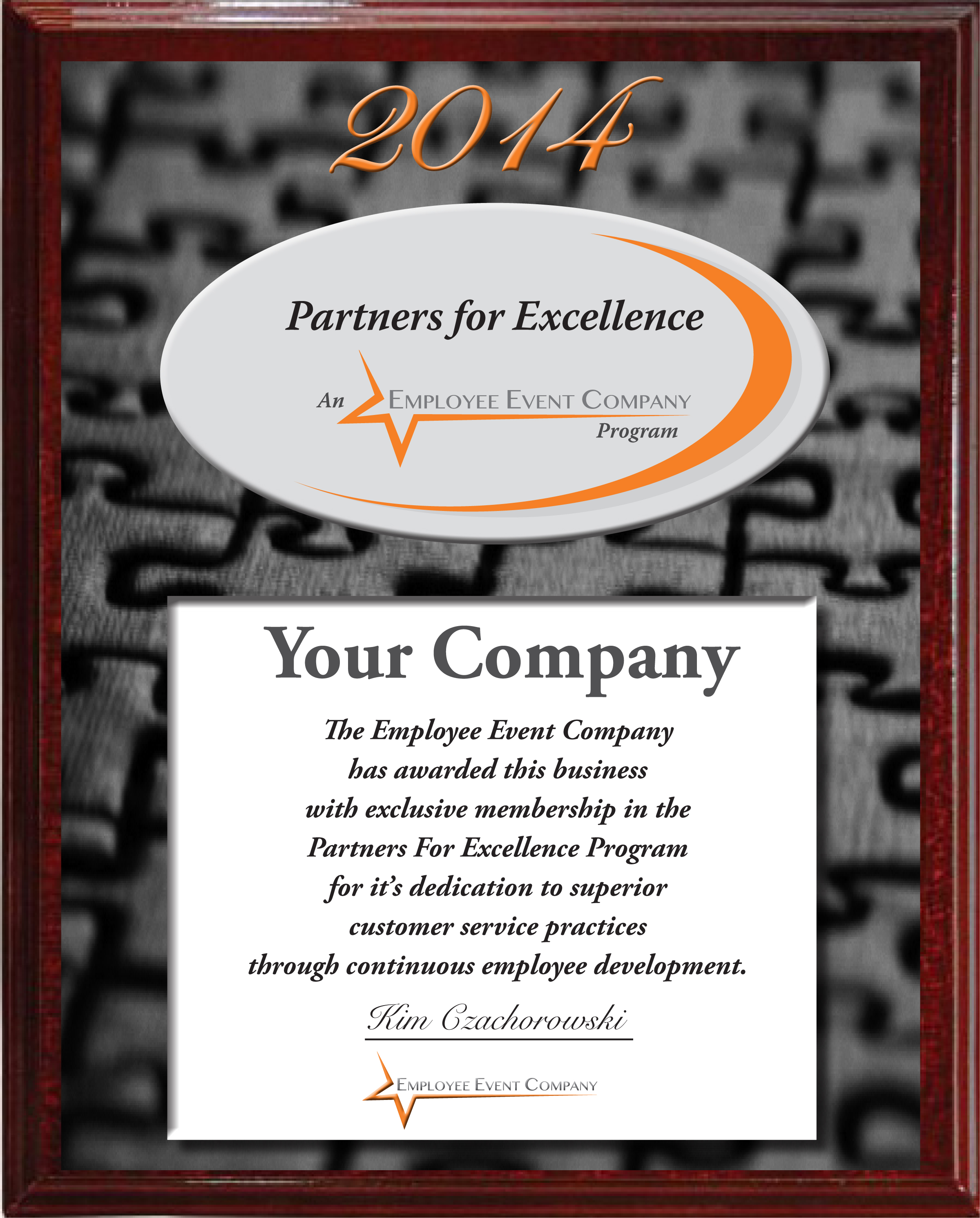 Partners for Excellence