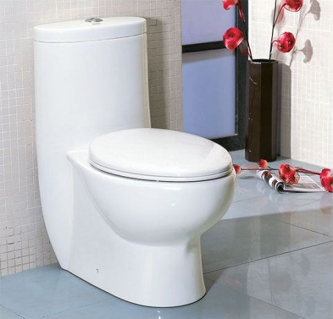 tall dual flush one piece eco-friendly ceramic toilet Eago TB309