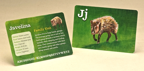 J is for Javelina! Front and back of the flash card.