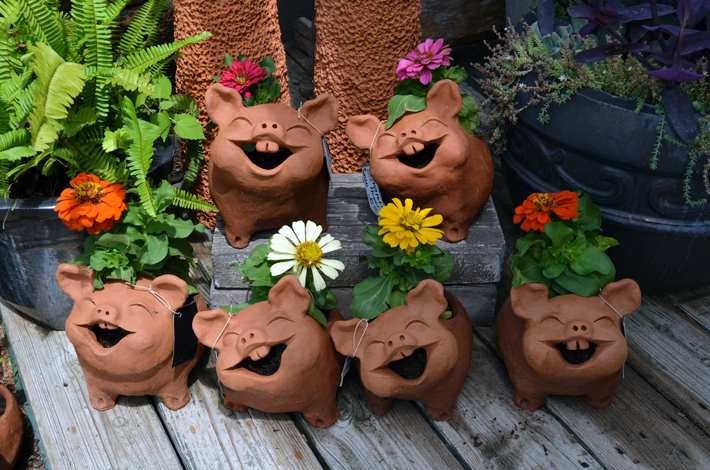 Happy Pig Pots from Big Grass