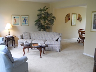 After Kristine staged it, this living room flows well. The artwork and plant add balance. The seating area becomes a warm and inviting focal point.