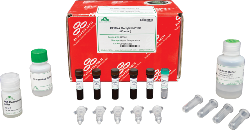 EZ RNA Methylation Kit