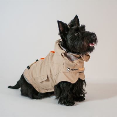 The ThunderCoat is perfect for owners who enjoy a daily walk with their dogs, regardless of the forecast.