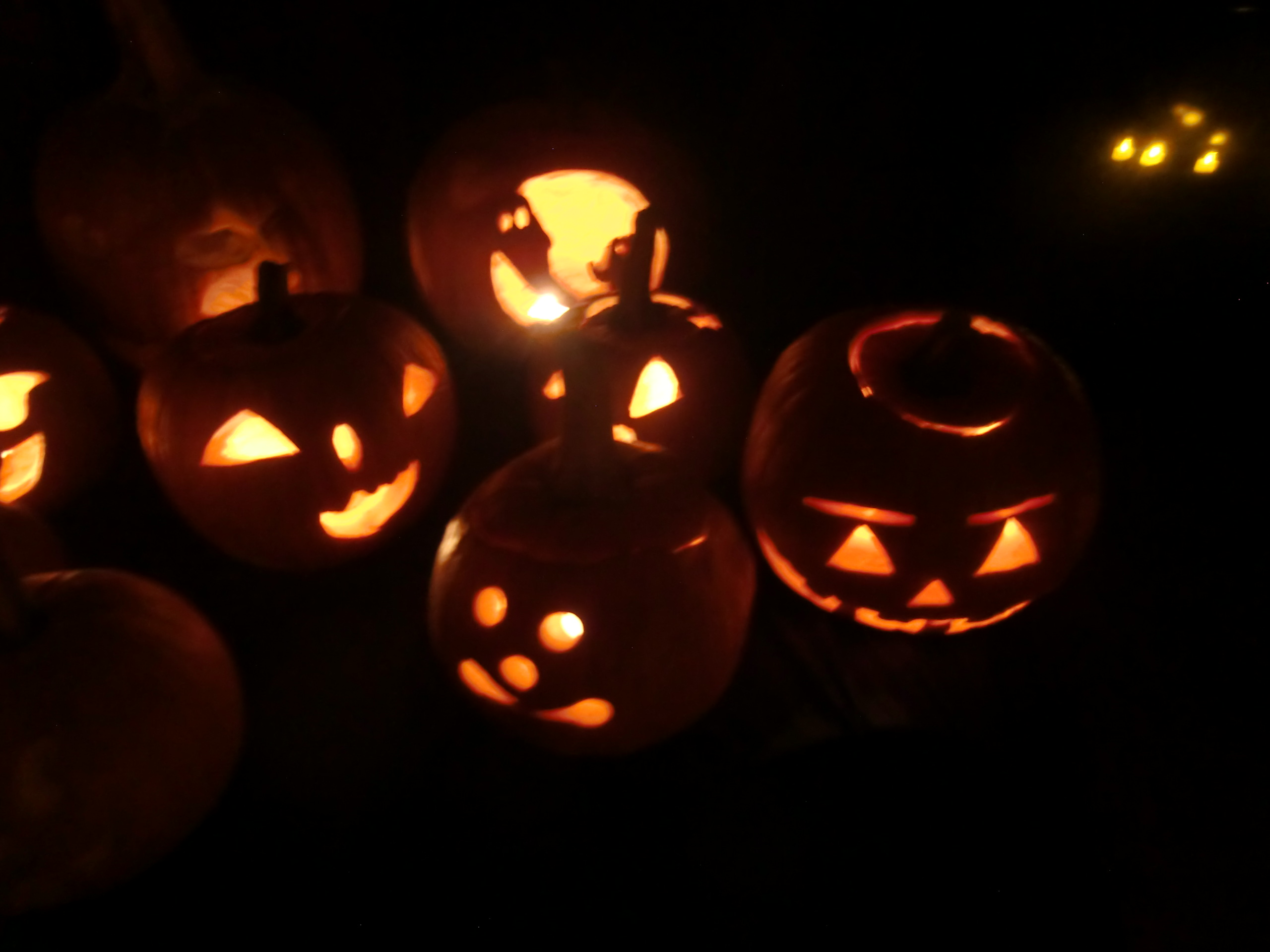 A glimpse of the Pumpkin display at A Hallowed Eve -Highland Hall Waldorf School