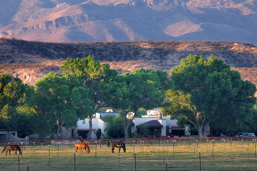 Tres Alamos Ranch in Tubac