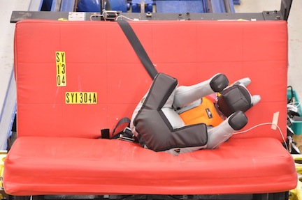 Sleepypod crash test dogs endure many bumps and bruises in order to create safer pet products.