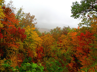 From October through mid-November, bright colors of the trees cover the Great Smoky Mountains National Park.