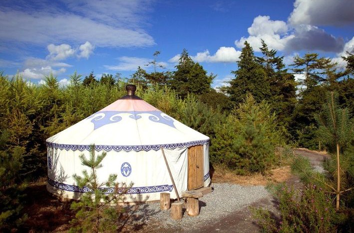 Stylish Yurt in Irish Countryside
