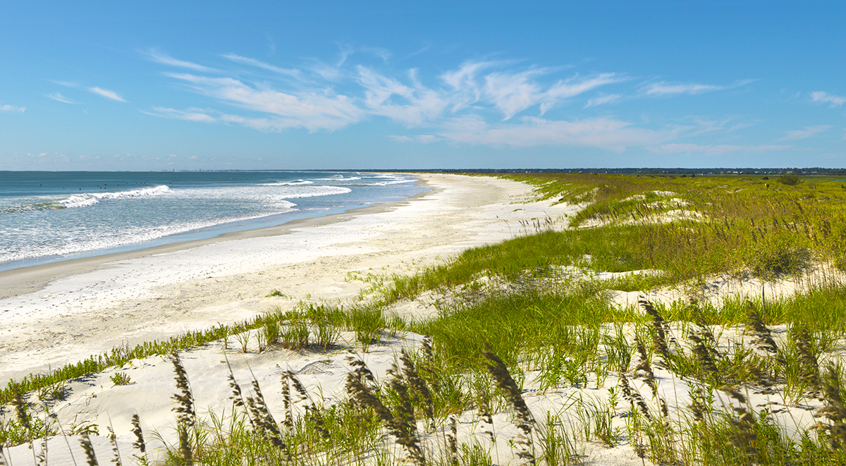 NC Surf to Sound Challenge proceeds benefit nonprofit Friends of the Reserve, Masonboro Island, N.C.