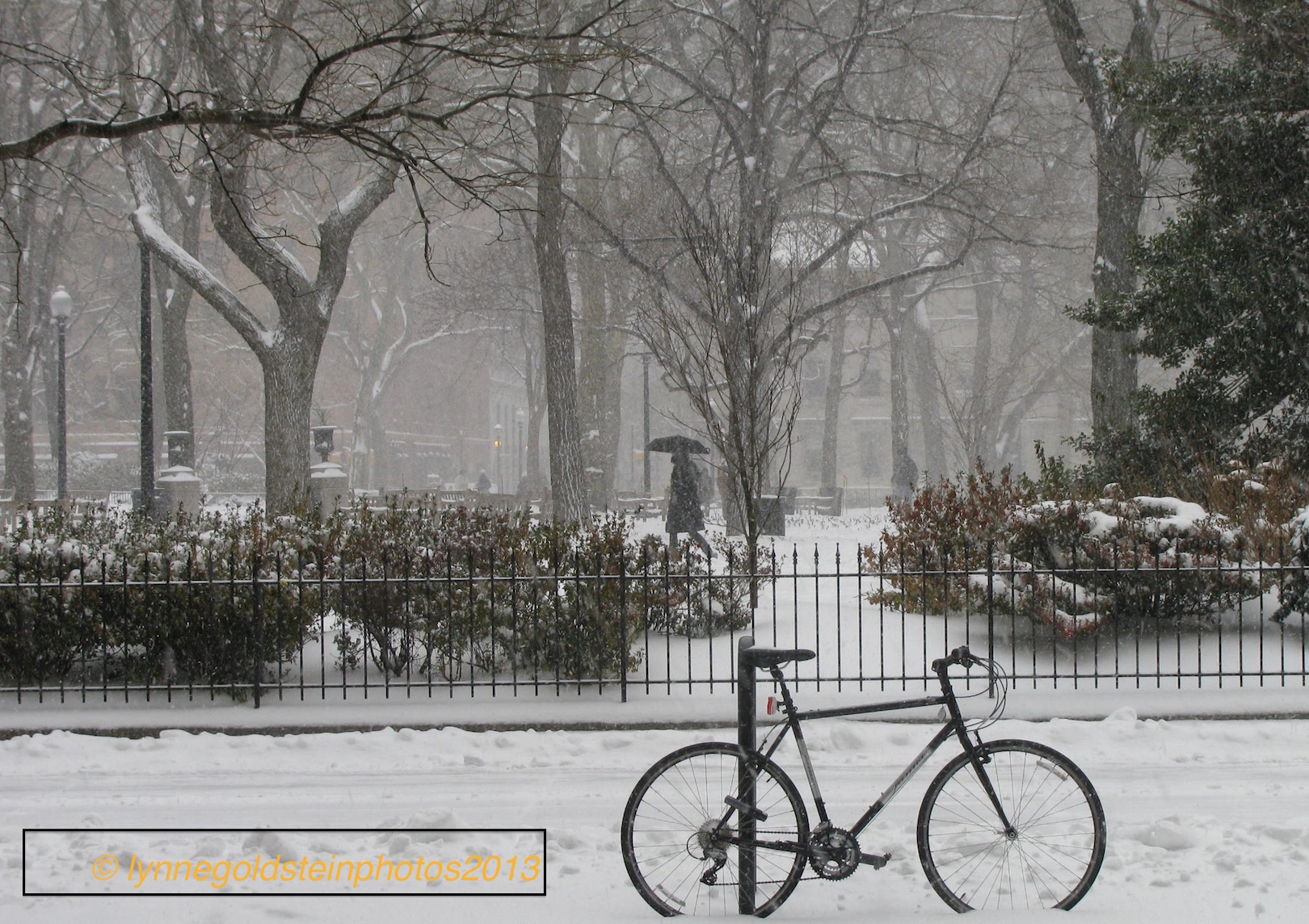 Snow in Square