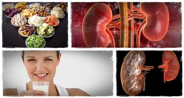 foods to improve kidney function