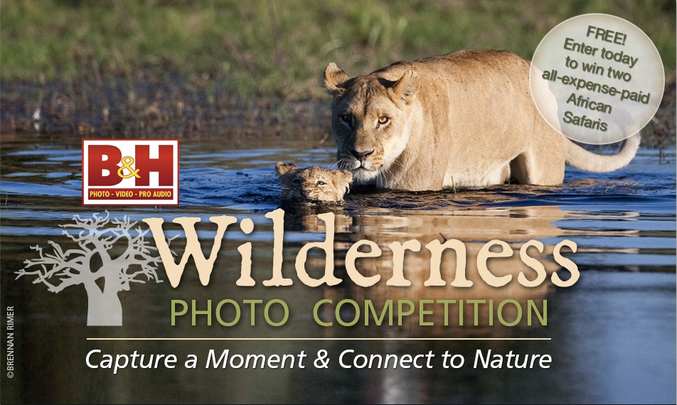 B&H Photo Video and Pro Audio and Wilderness Trust announce the Wilderness Photo Competition