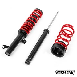Ford focus raceland coilovers #1