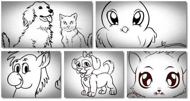 Learn How to Draw Cute Animals Exactly and Professionally With the “How ...