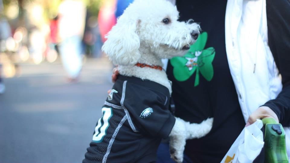 The Fox Chase Cancer Center's "Paws for the Cause" dog walk has brought 2-legged and 4-legged participants out to support cancer research for the past 14 years raising over $180,000.