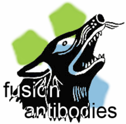 Fusion Antibodies Support Movember Foundation