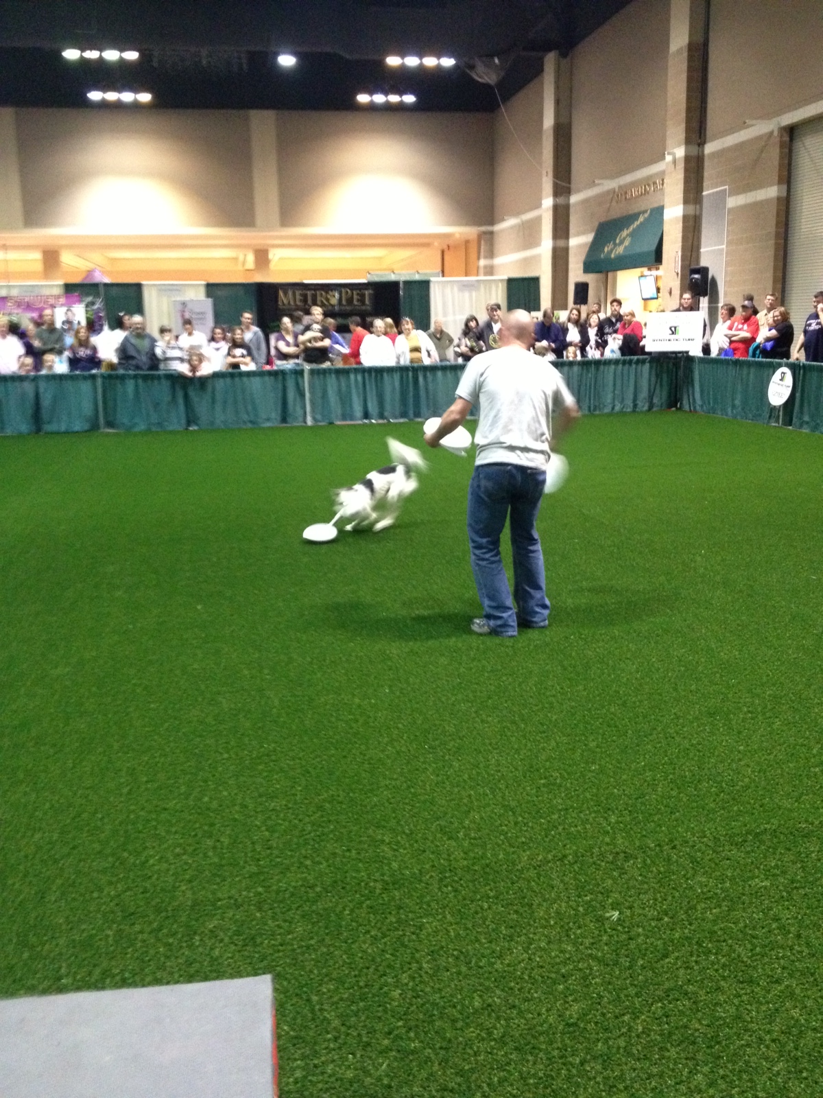 Amazing Pet Expo 2013 MO