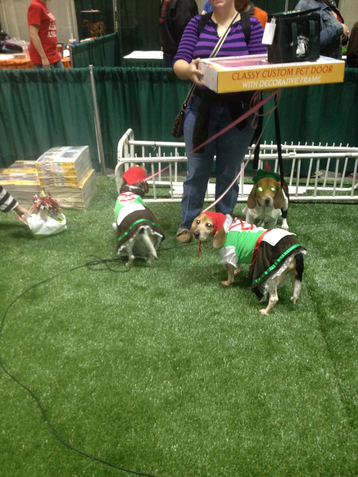 Agility Area Amazing Pet Expo 2013 MO