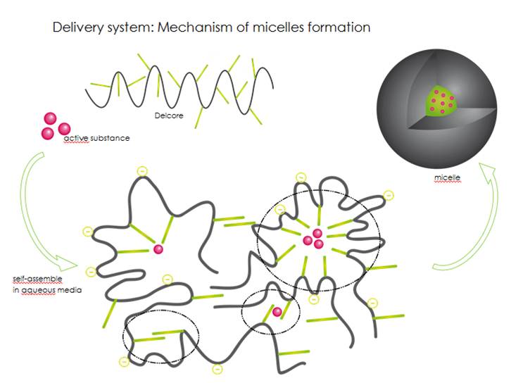 Delcore - micellar self-organizing system