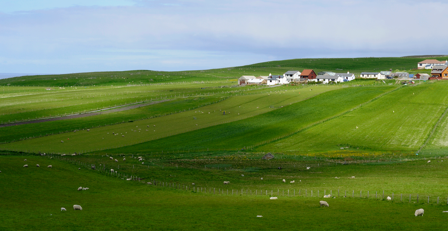 Shetland Island farm.
