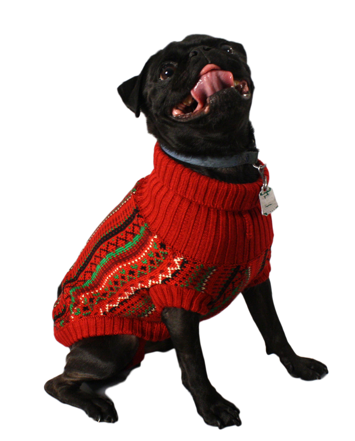 Christmas Kosby Dog Sweater