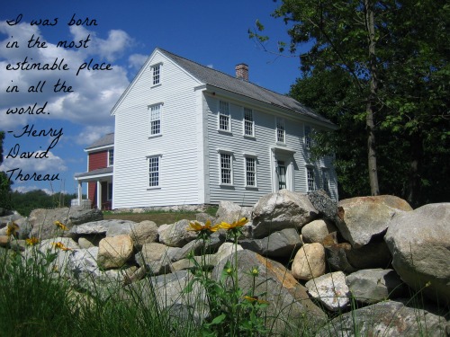 The farmhouse where environmentalist Henry David Thoreau was born in Concord, Massachusetts.