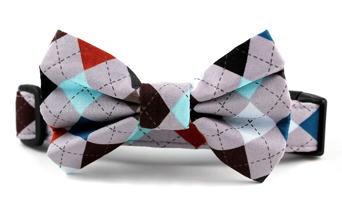 Oxford Bow Tie Dog Collar by Bow Wow Couture