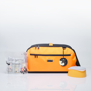 Each item in the Sleepypod Air Safe Pet Travels Package is an award-winning product.