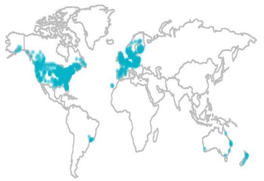 Vizzion’s worldwide traffic camera coverage in over 500 cities across 23 countries.