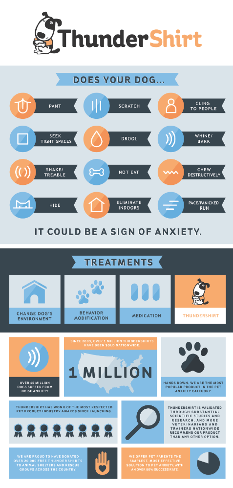 This new infographic visually outlines the major causes and symptoms of pet anxiety.
