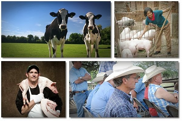 guide to profitable livestock