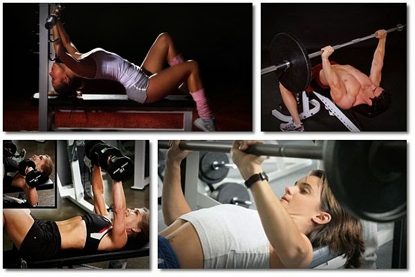 bench press workout routine