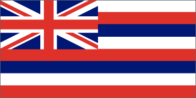 State of Hawaii Flag - Birthplace of Hawaiian Native Son - Willy Cahill